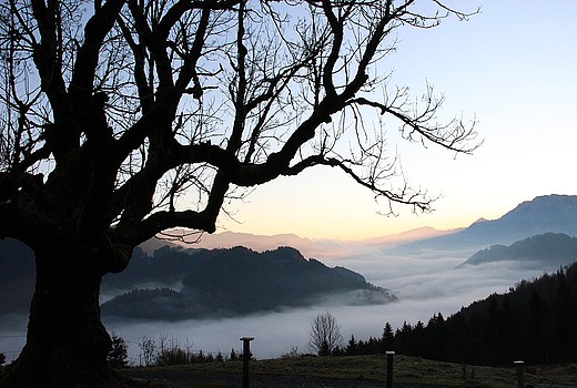 Impressionen von der Fuchshütte