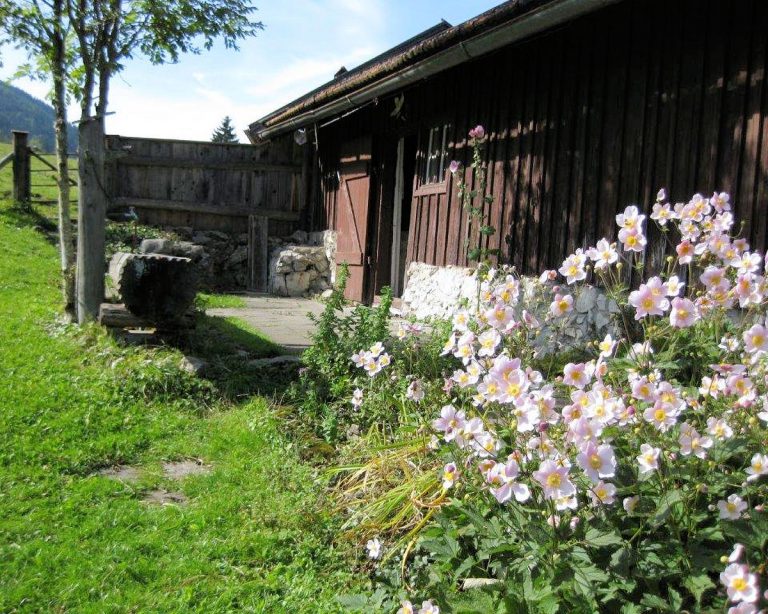 Impressionen von der Fuchshütte